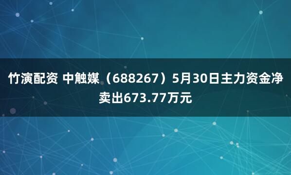 竹演配资 中触媒（688267）5月30日主力资金净卖出673.77万元