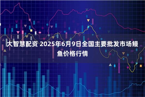 大智慧配资 2025年6月9日全国主要批发市场鳗鱼价格行情