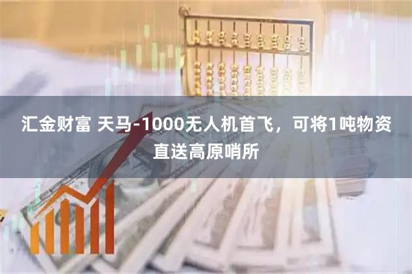 汇金财富 天马-1000无人机首飞，可将1吨物资直送高原哨所