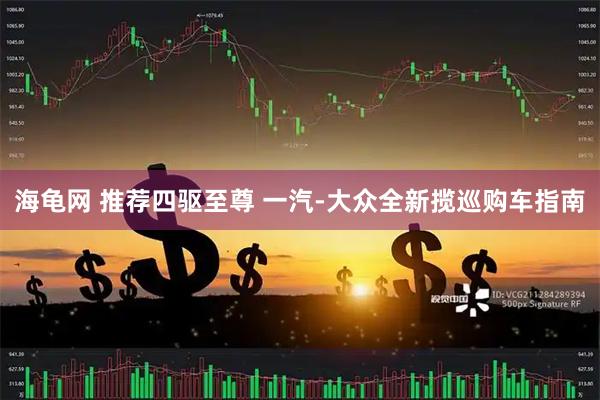海龟网 推荐四驱至尊 一汽-大众全新揽巡购车指南